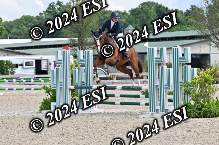 207CMS_8527