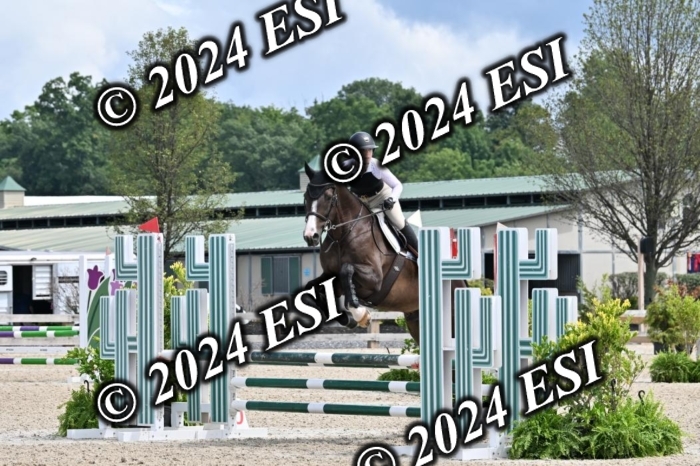 207CMS_8536