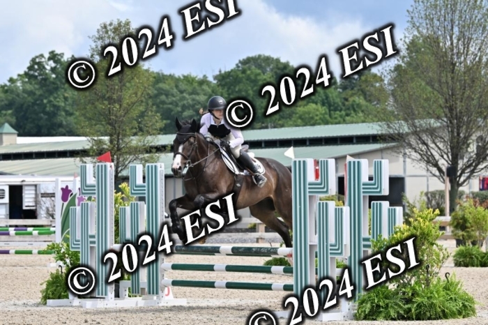 207CMS_8537