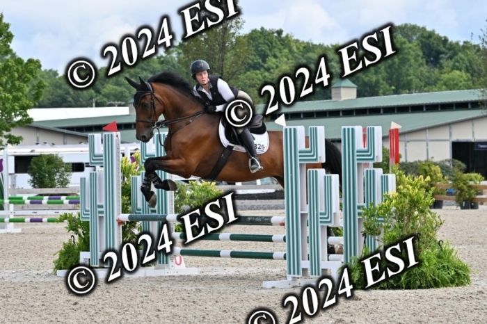 207CMS_8544