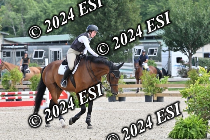 207CMS_8546