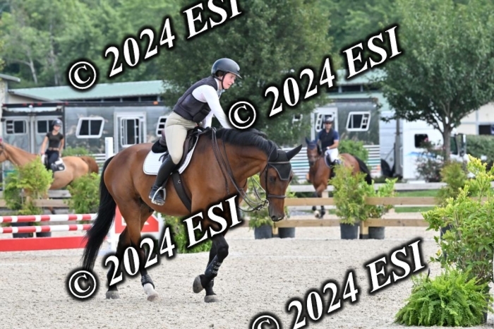 207CMS_8547