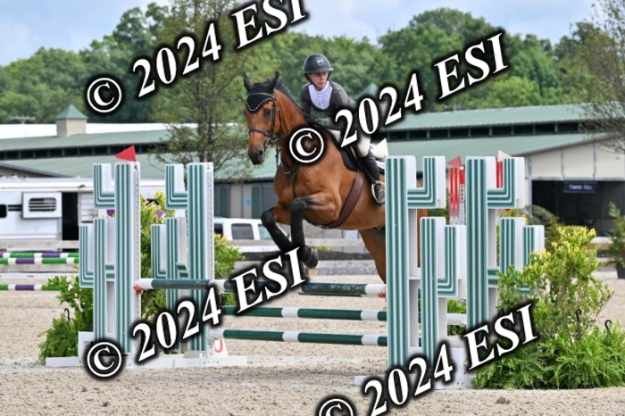 207CMS_8553