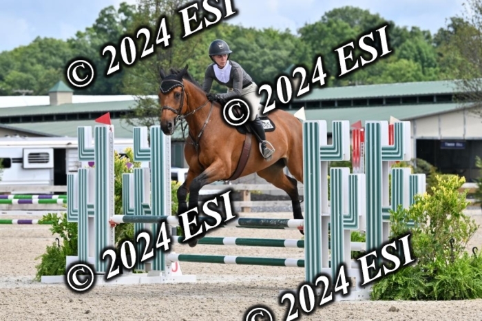 207CMS_8554