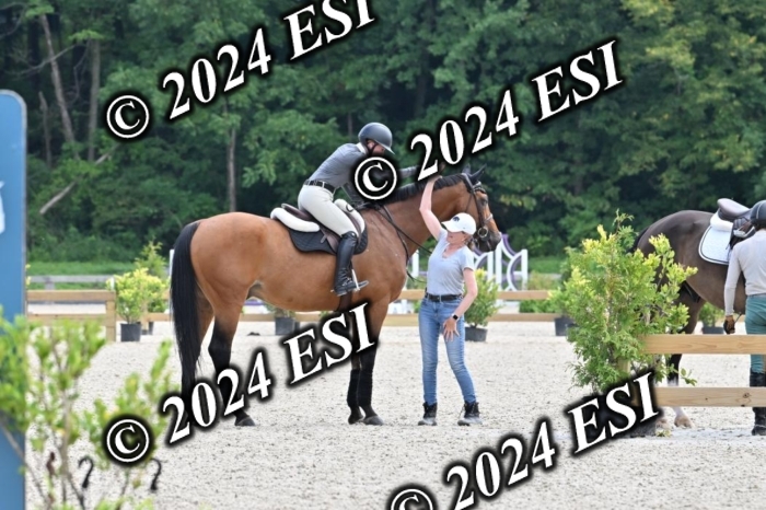 207CMS_8556
