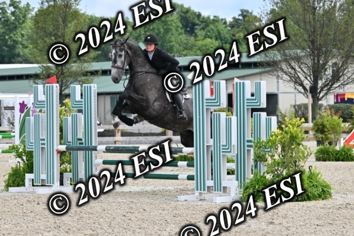 207CMS_8562