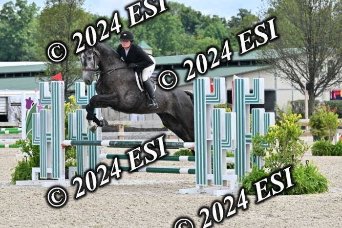 207CMS_8563