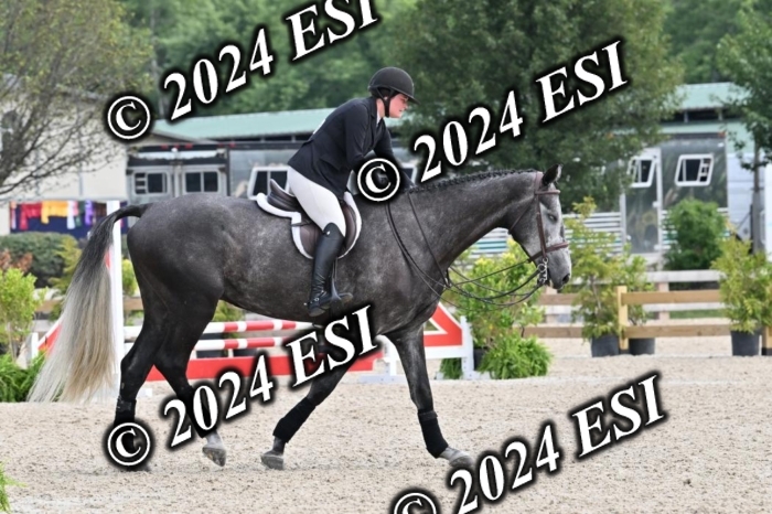 207CMS_8564