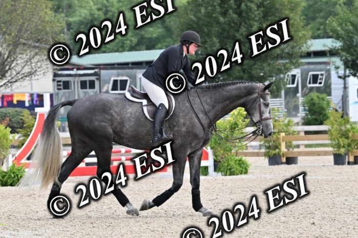 207CMS_8565