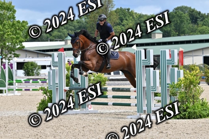207CMS_8571