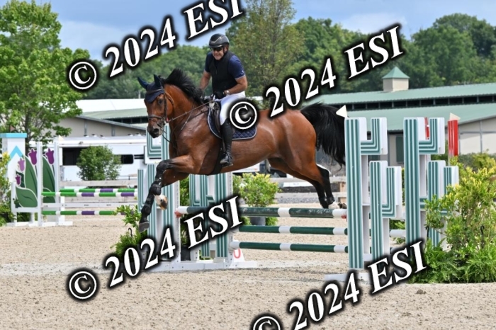 207CMS_8572