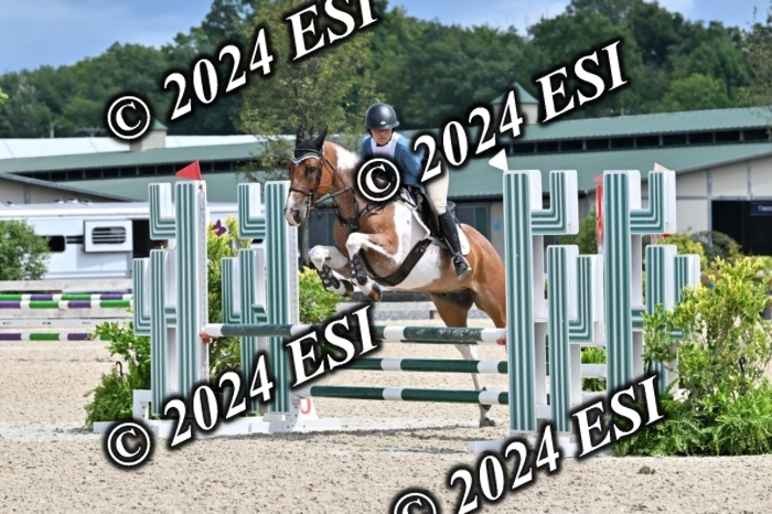 207CMS_8577
