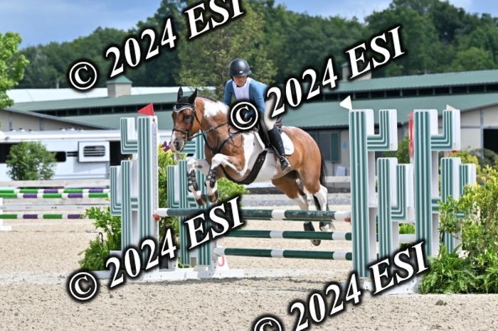 207CMS_8578