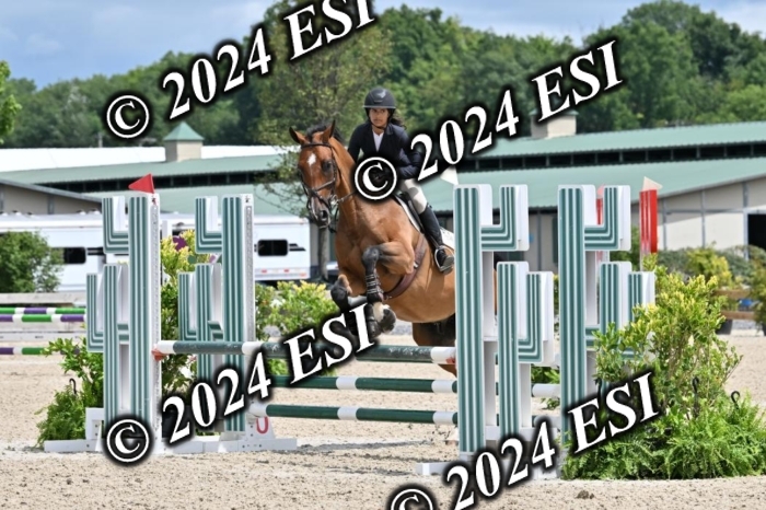 207CMS_8592