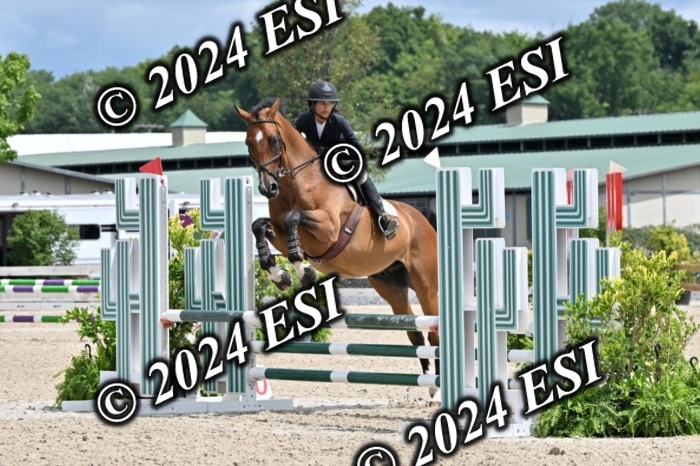 207CMS_8593