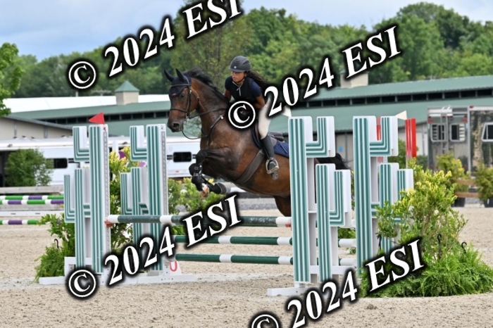 207CMS_8599
