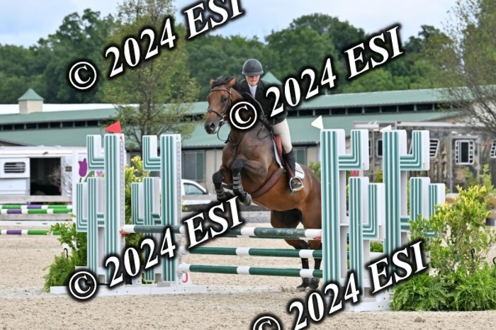 207CMS_8605