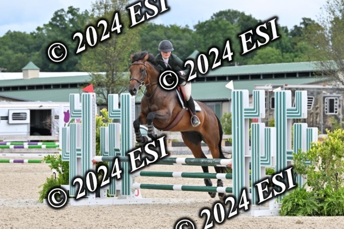 207CMS_8606