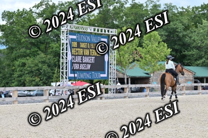 207CMS_8607