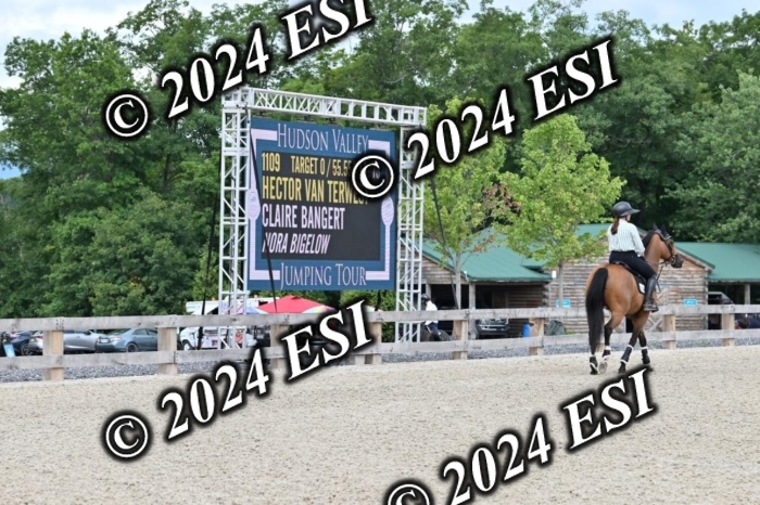 207CMS_8608