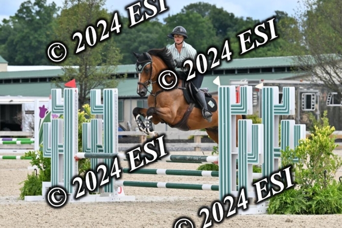 207CMS_8613