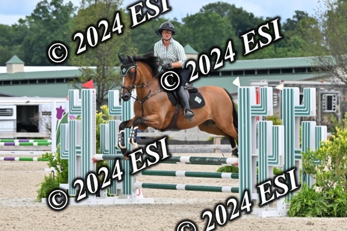 207CMS_8614