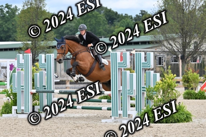 207CMS_8631