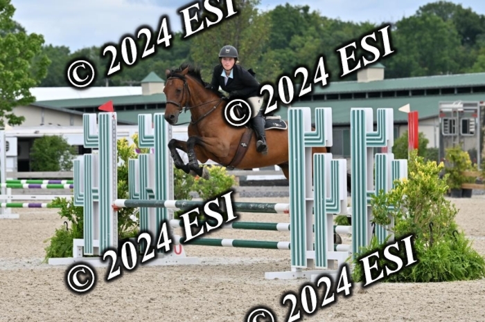 207CMS_8638