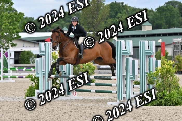207CMS_8639