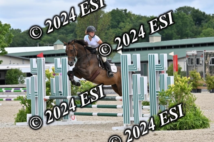 207CMS_8645