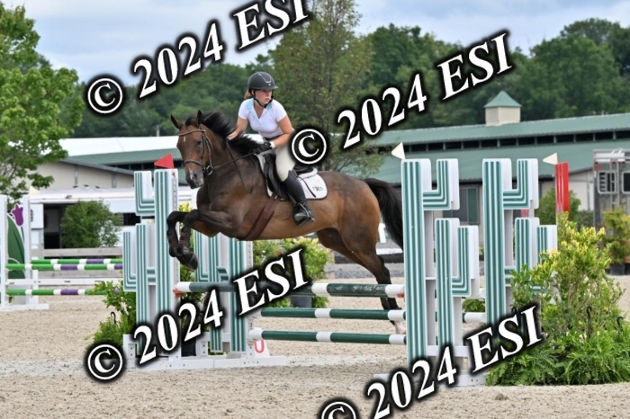 207CMS_8646