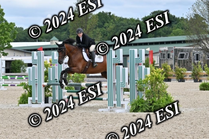 207CMS_8651