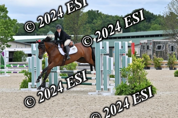 207CMS_8652