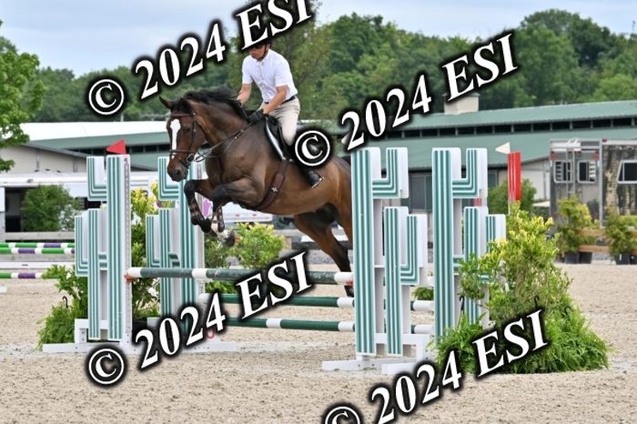 207CMS_8658