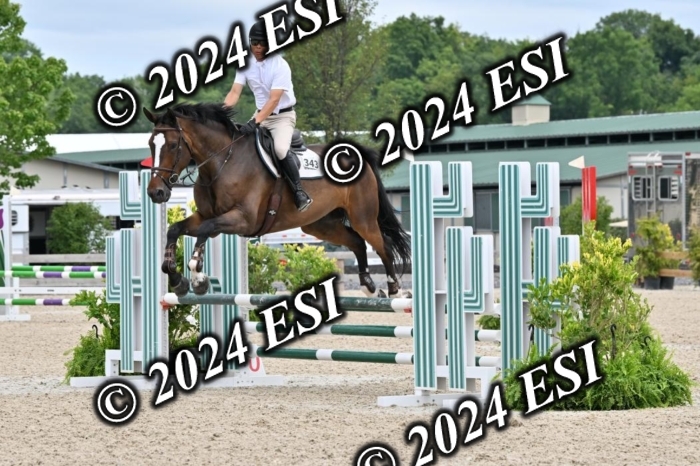 207CMS_8659