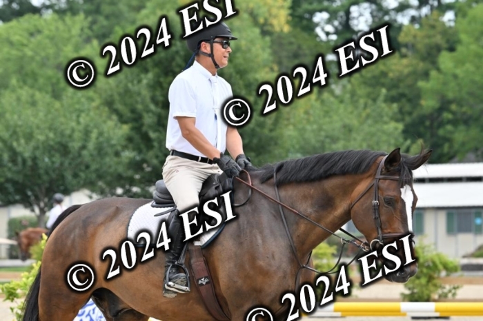 207CMS_8660