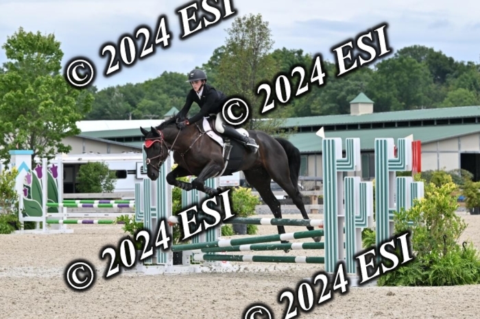 207CMS_8670