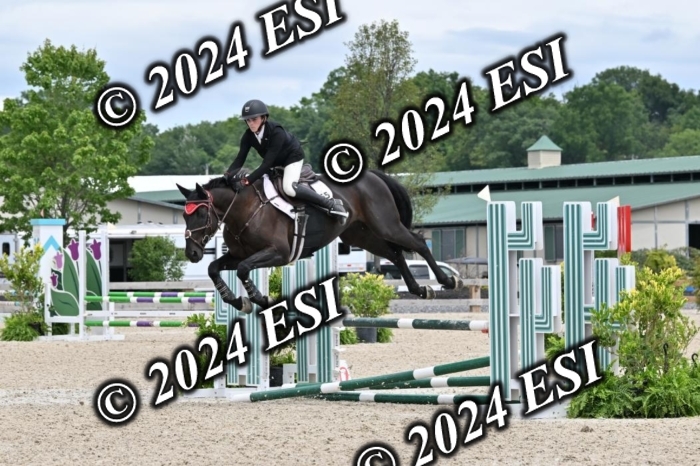 207CMS_8671