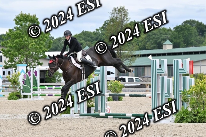 207CMS_8672