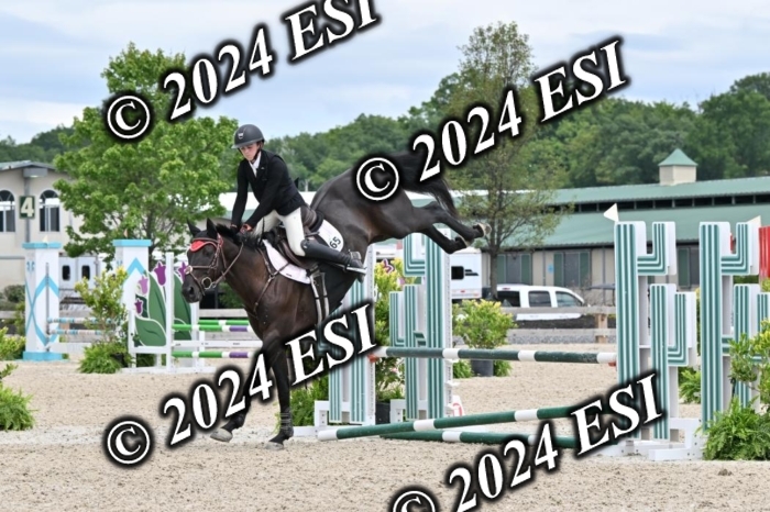 207CMS_8673