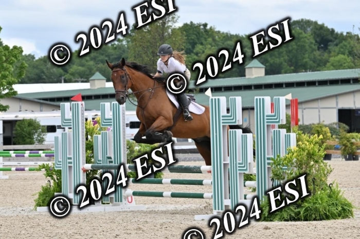 207CMS_8680