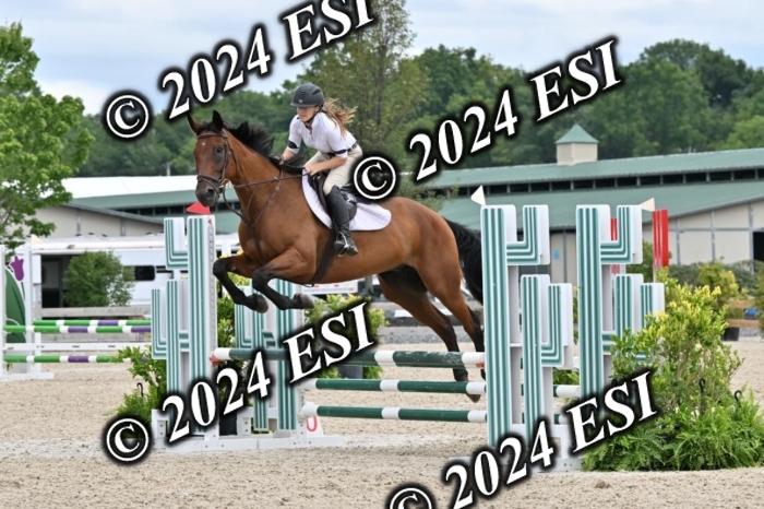 207CMS_8681