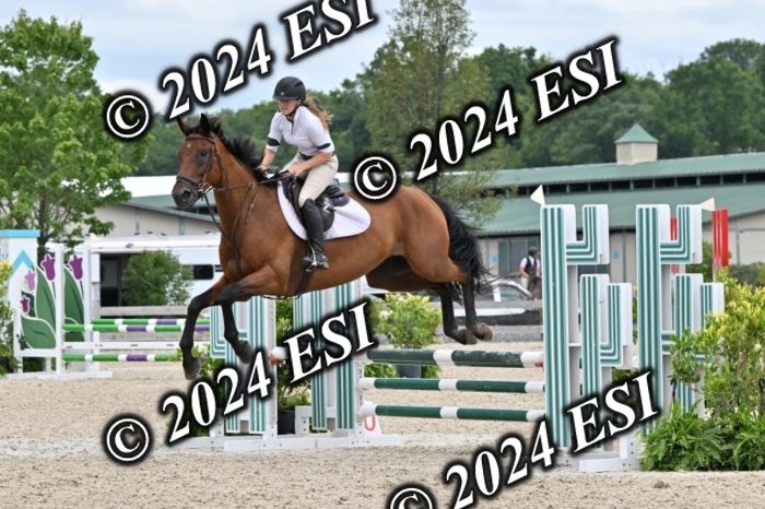 207CMS_8682