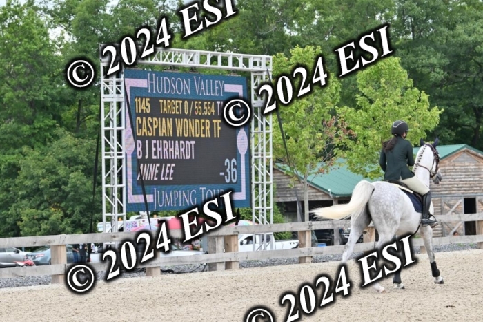 207CMS_8684