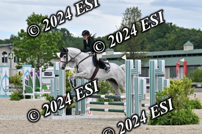 207CMS_8690
