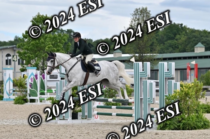 207CMS_8691