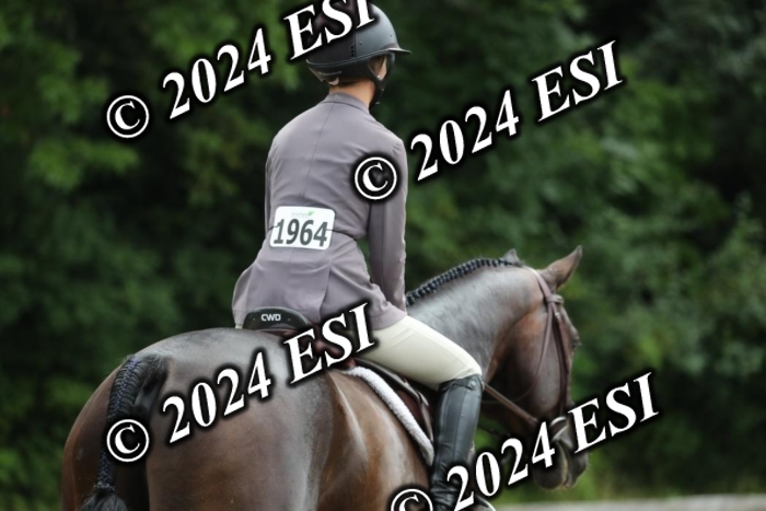 605RWCL7096