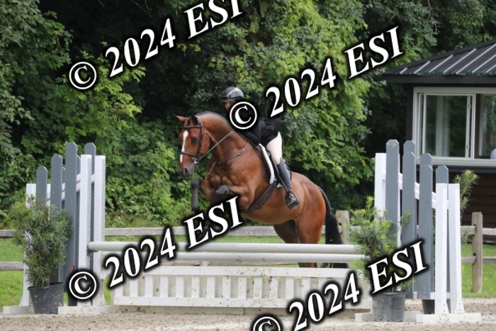 605RWCL7175