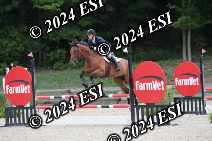 208SC1_1173
