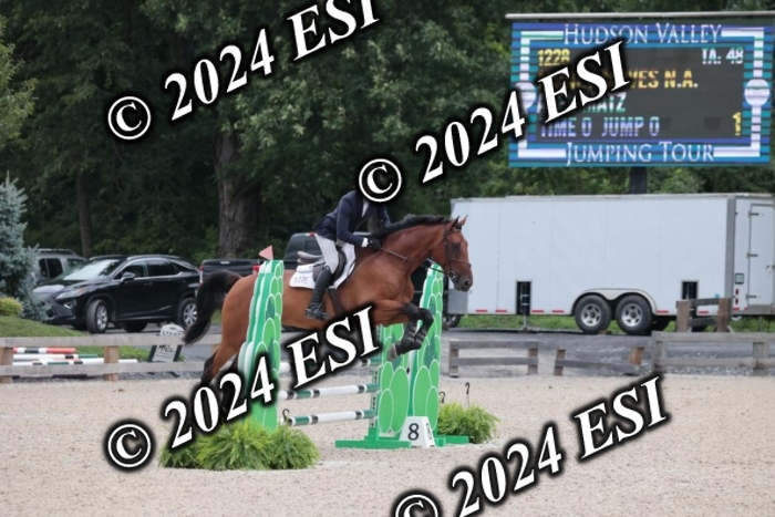 208SC1_1181